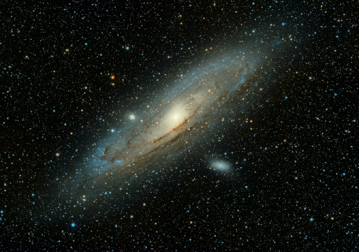 Navigating the Pivot: Truths About Grit, Delusion, and Market Fit